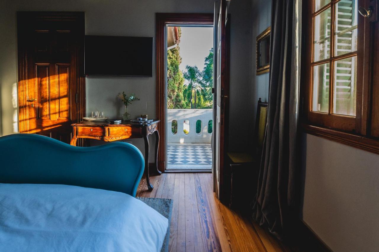 Scratch House Hotel Boutique Villa Allende Ngoại thất bức ảnh