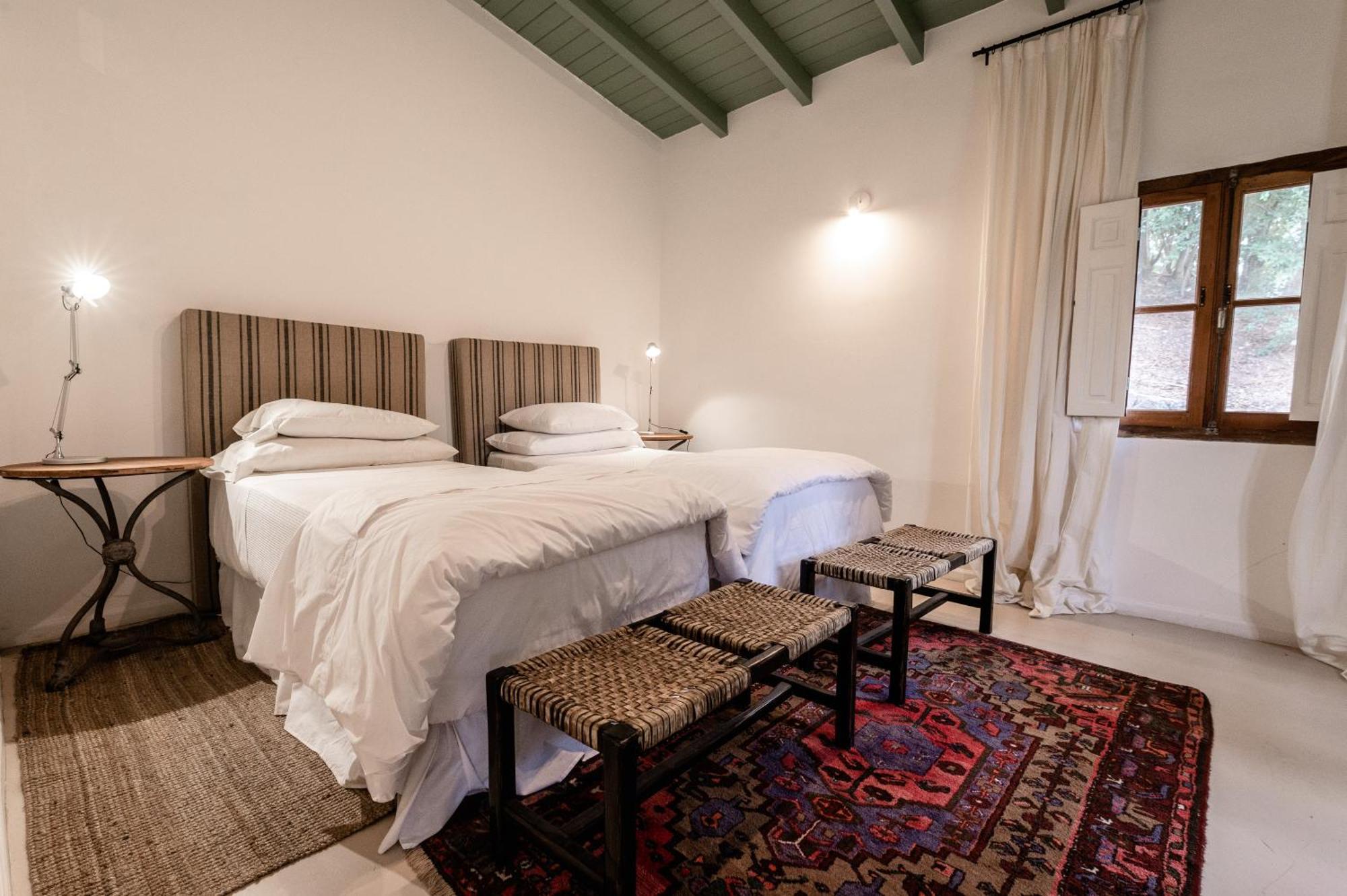 Scratch House Hotel Boutique Villa Allende Ngoại thất bức ảnh
